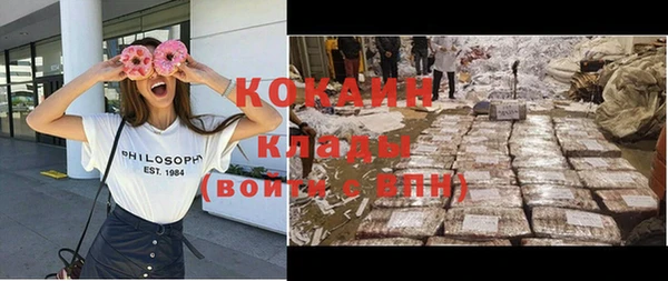 прущие грибы Наволоки