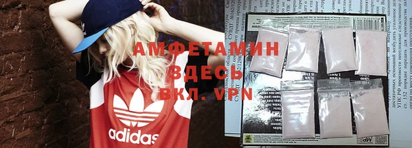 прущие грибы Наволоки