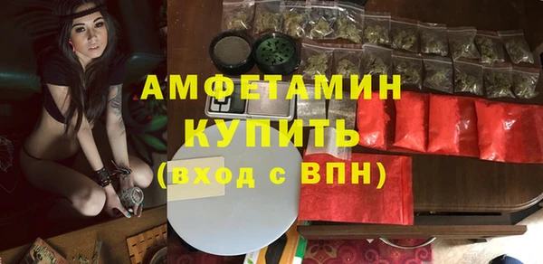 прущие грибы Наволоки