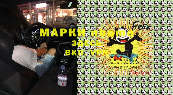 прущие грибы Наволоки