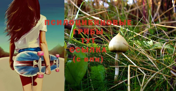 прущие грибы Наволоки