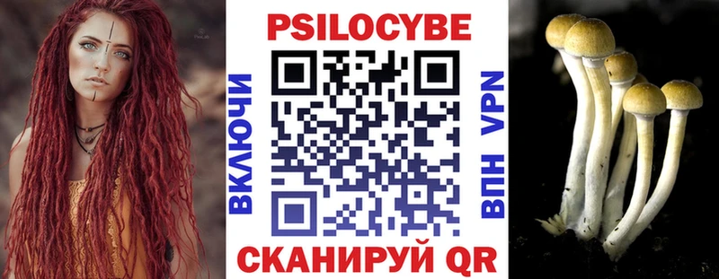 Купить Новочеркасск Псилоцибиновые грибы Cubensis